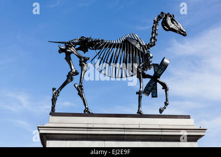 Geschenkten Gaul ist eine Bronzeskulptur von einem Pferd Skelett auf der Fourth Plinth am Trafalgar Square in London. Erstellt von Haans Haacke. Stockfoto