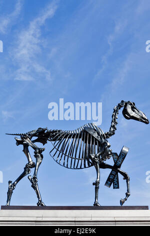 Geschenkten Gaul ist eine Bronzeskulptur von einem Pferd Skelett auf der Fourth Plinth am Trafalgar Square in London. Erstellt von Haans Haacke. Stockfoto