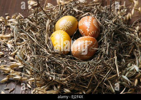 Ostereier im Nest auf hölzernen Hintergrundfarbe Stockfoto