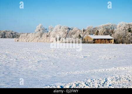 Scheune im Schnee mit kleinen Wald in den Rücken Stockfoto