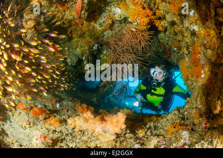 Beginnt Ransonneti, Pygmy Kehrmaschine und Scuba Diver, Baa Atoll, Malediven, Indischer Ozean Stockfoto