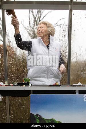 Barneveld, Niederlande. 20. März 2015. Niederländische Prinzessin Beatrix besucht eine ehrenamtliche Arbeit im Garten eines Altenheims in Barneveld, Niederlande, 20. März 2015. Mitglieder des niederländischen Königshauses teilnehmen an die nationale freiwillige Veranstaltung NLdoet. RPE/Albert PH.van der Werf/Niederlande - kein Draht-Dienst- Stockfoto