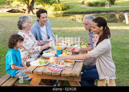 Großfamilie mit einem Mittagessen im freien Stockfoto