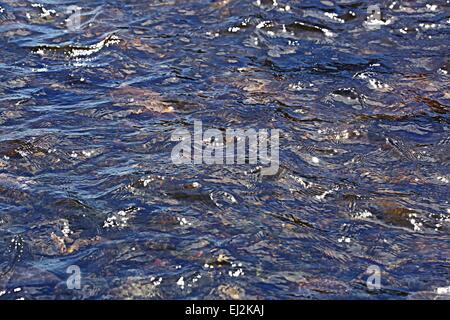 Textur transparent klaren Wasser des Sees Meer Stockfoto