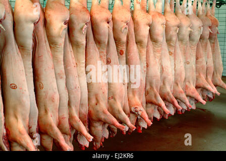 Schweinehälften im Kühlhaus Stockfoto