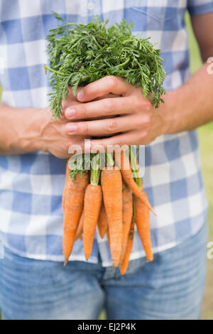 Landwirt Holding Bündel von Bio-Karotten Stockfoto