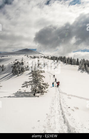 Winter schnee Szene mit Schnee bedeckt Bäume und eine Gruppe von Personen Schneeschuhwandern in der Nähe von Alpbach in Tirol Stockfoto