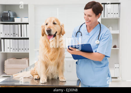 Tierarzt-Untersuchung eines Hundes und schreiben in Zwischenablage Stockfoto