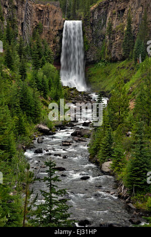 OR01768-00... OREGON - Tumalo fällt auf der North Fork Bridge Creek im Deschutes National Forest in der Nähe von Bend. Stockfoto