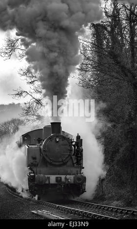 TKh 2944 auf einer leichten Steigung dämpfen aus Consall Schmiede Station Churnet Valley Railway. Stockfoto