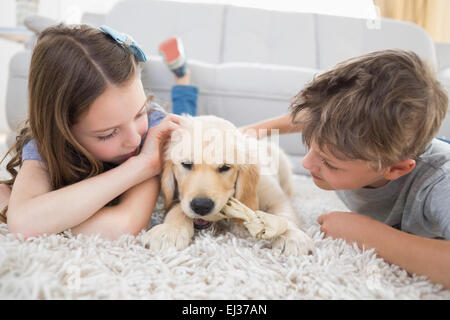 Geschwister spielen mit Hund auf Teppich Stockfoto