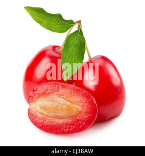 Cornels mit Blättern auf dem weißen Hintergrund isoliert. Stockfoto