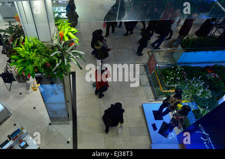 New York, USA. 20. März 2015. Menschen passieren Blumenschmuck im Kaufhaus Macy's in New York, Vereinigte Staaten, 20. März 2015. Macy's Herald Square enthüllt seine neueste Kunstwerk in florale Schönheit, mit der Eröffnung des ikonischen Stores 41. jährliche Blumenschau. Bildnachweis: Wang Lei/Xinhua/Alamy Live-Nachrichten Stockfoto