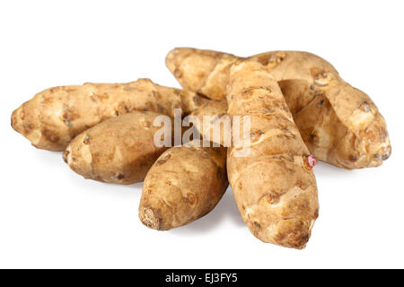 Sunroot Knollen oder Topinambur oder Topinambur (Helianthus Tuberosus) Stockfoto