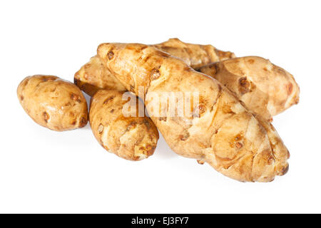 Sunroot Knollen oder Topinambur (Helianthus Tuberosus) Stockfoto