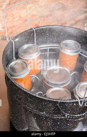 Gläser mit Aprikose Marmelade ruht auf einem Gestell Eindoser in ein heißes Wasser-Badewanne-Eindoser. Stockfoto