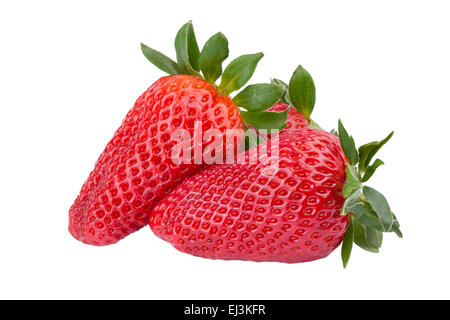 frische Erdbeeren Makro über weiß Stockfoto