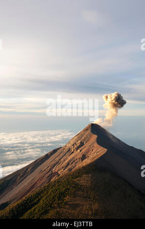 Volcan Fuego gesehen von Acatenango Vulkan, Guatemala Stockfoto