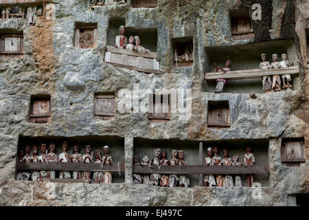 Steingrabeöffnungen und Holzraster auf einer Klippe an einer traditionellen Grabstätte in Lemo, Nord-Toraja, Süd-Sulawesi, Indonesien. Stockfoto