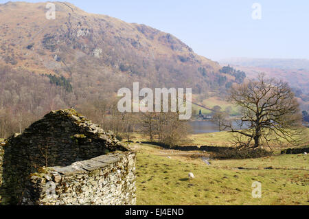 Blick nach unten in Richtung Rydal Wasser, Lake District, England, UK Stockfoto