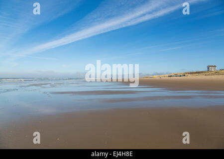 Strand, Nordseeküste, Bergen Aan Zee, Nordholland, Niederlande Stockfoto