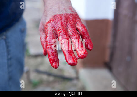 Traditionelle Haus Schlachten in einer ländlichen Gegend. Landwirt Hand nach Stiring Blut Stockfoto