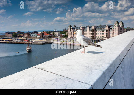 Möwe am Opernhaus in Oslo, Norwegen Stockfoto