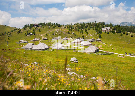 Velika Planina Berg, Touristenattraktion und Zielländern, Slowenien Stockfoto