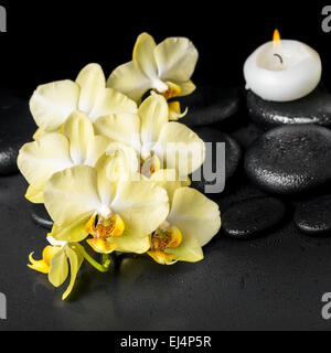 schönes Spa Einstellung der Gelbe Orchidee Phalaenopsis und Kerze auf schwarzen Zen Steinen mit Tropfen, Nahaufnahme Stockfoto