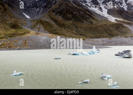 Hooker See in Mount Cook National Park, Neuseeland Stockfoto