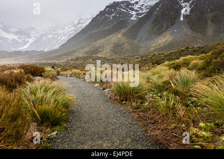 Hooker See in Mount Cook National Park, Neuseeland Stockfoto