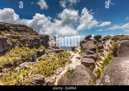 Die Aussicht vom Plateau des Roraima auf das Grand Sabana - Venezuela, Latin America Stockfoto