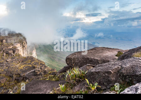 Die Aussicht vom Plateau des Roraima auf das Grand Sabana - Venezuela, Latin America Stockfoto