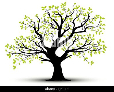 Vektor-Baum im Frühling, grünes Laub Stock Vektor