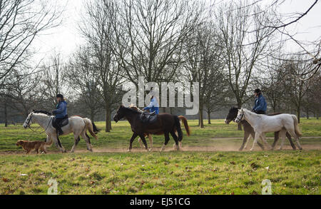 Hyde Park in London Stockfoto