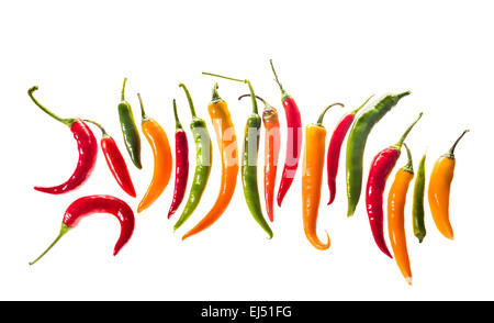 Frische rote Paprika Chili kühl Chili auf weißem Hintergrund heiße scharfe Gewürz Zeile Ebene viel heißesten Paprika Stockfoto