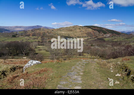 Blick auf dem Weg nach oben die Pony-Pfad auf Cadair Idris im südlichen Snowdonia, Nord-Wales Stockfoto