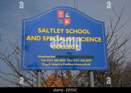 Saltley School, Birmingham.  Trojanisches Pferd Stockfoto