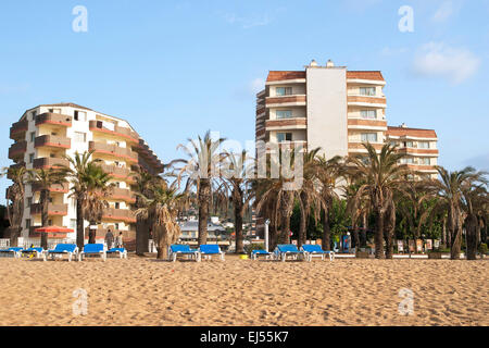 SANTA SUSANNA, Spanien – 2. August 2009: Strand am Mittelmeer mit Palmen und Hotels in der ersten Zeile in Santa Susanna (Costa del Maresme) Stockfoto