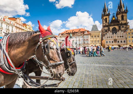 Pferdekutschen warten auf Touristen am alten Platz in Prag. Stockfoto