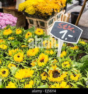 Sonnenblumen auf dem Blumenmarkt auf der Amsterdamer Straße Stockfoto