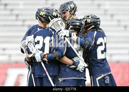 Hamilton, New York, USA. 21. März 2015. Navy Midshipmen Spieler feiern ein Ziel während einer NCAA Männer Lacrosse Spiel zwischen Navy Midshipmen und die Colgate Raiders bei Andy Kerr Stadium in Hamilton, New York. Marine besiegt Colgate 7-6. Rich Barnes/CSM/Alamy Live-Nachrichten Stockfoto