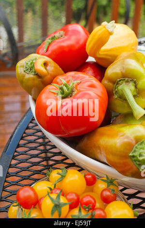 Schüssel mit frischen Produkten, einschließlich rote Tomaten, Paprika Gypsy Hybrid und Crookneck Sommerkürbis Stockfoto