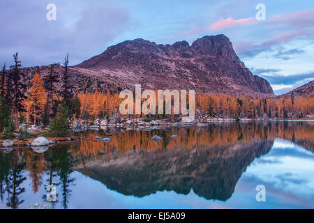 Cathedral Peak und Lärchen im Dom See widerspiegelt nach Sonnenuntergang, Pasayten Wildnis, North Cascades, Washington, USA. Stockfoto