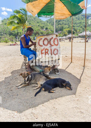 Ein junger männlicher Afro-kubanischen Mann sitzt an seinem Stand am Strand von Siboney, Kuba "Coco Frio," frische kalte Kokosnüsse zu verkaufen. Stockfoto