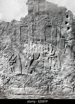 Dieser Marmorplatte wurde bei Ausgrabungen des Palastes in der antiken Stadt Ninive, am östlichen Ufer des Tigris Südwesten entdeckt. Die Abbildungen zeigen einen assyrischen Angriff zwischen 700 bis 692 v. Chr. auf die Stadt Alammu (gedacht, um heutigen Jerusalem sein) von den Assyrern unter Sanherib. Beachten Sie, dass die belagernden Bogenschützen Wicker Bildschirme geschützt sind. Diese Platte ist jetzt im British Museum untergebracht. Stockfoto