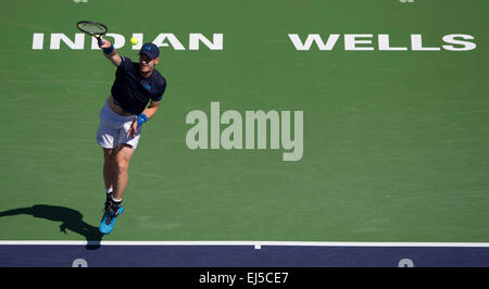 (150322)--INDIAN WELLS, MÄRZ. 22, 2015 (Xinhua)--Andy Murray aus Großbritannien dient den Ball während der Herren Halbfinale gegen Novak Djokovic Serbien auf der BNP Paribas Open Tennis bei den Indian Wells Tennis Garden in Indian Wells, Kalifornien, USA am 21. März 2015. Murray verlor 0: 2. (Xinhua/Yang Lei) Stockfoto