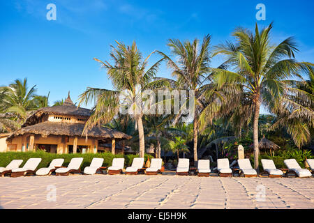 Zeile der freien Liegestühlen unter Palmen am Strand. Mui Ne, Binh Thuan Provinz, Vietnam. Stockfoto