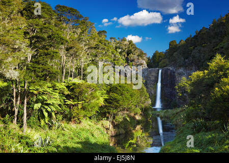 Hunua fällt, Nordinsel, Neuseeland Stockfoto