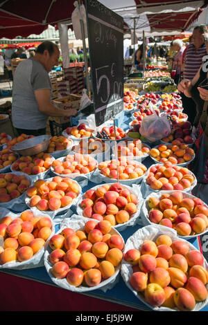 Aprikosen auf einem Markt stall auf dem Samstagsmarkt in Beaune, Frankreich, Dordogne, Europa Stockfoto